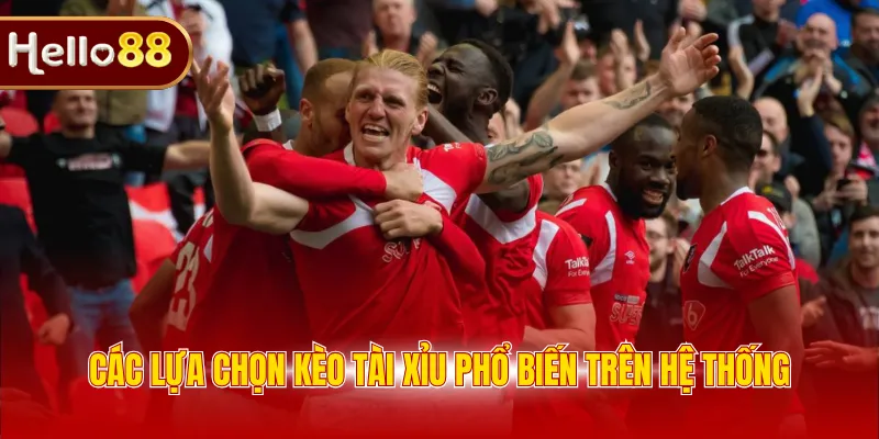 Các lựa chọn kèo tài xỉu phổ biến trên hệ thống 