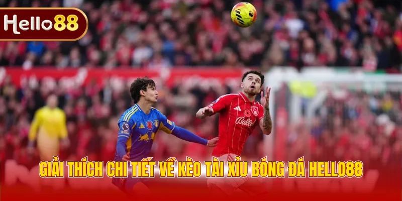 Giải thích chi tiết về kèo tài xỉu bóng đá Hello88 