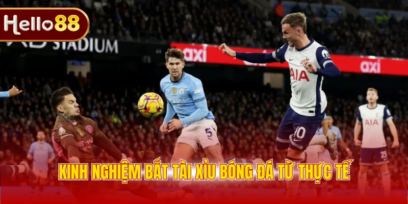 Kinh nghiệm bắt tài xỉu bóng đá từ thực tế 